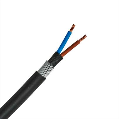 amoured cable 2 core