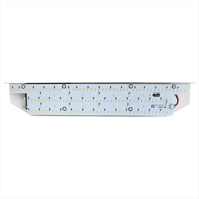 Schindler Light internals