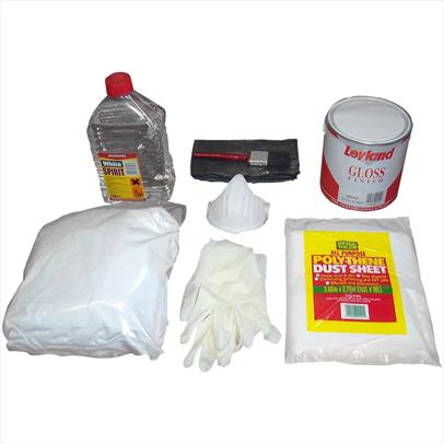 Paint Guards Kit